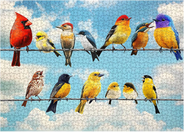 Birds of Joy Jigsaw Puzzle 1000 piezas